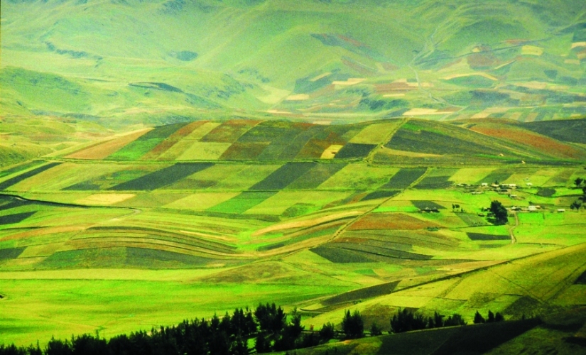 NEWS 165 25/11/20 NEWS 165 25/11/20