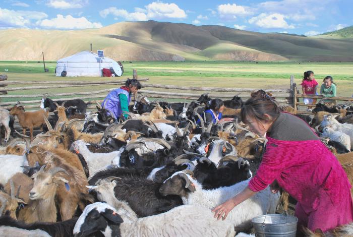 A l'école des Andes - Campement nomade,Tariat, Arrhangai.