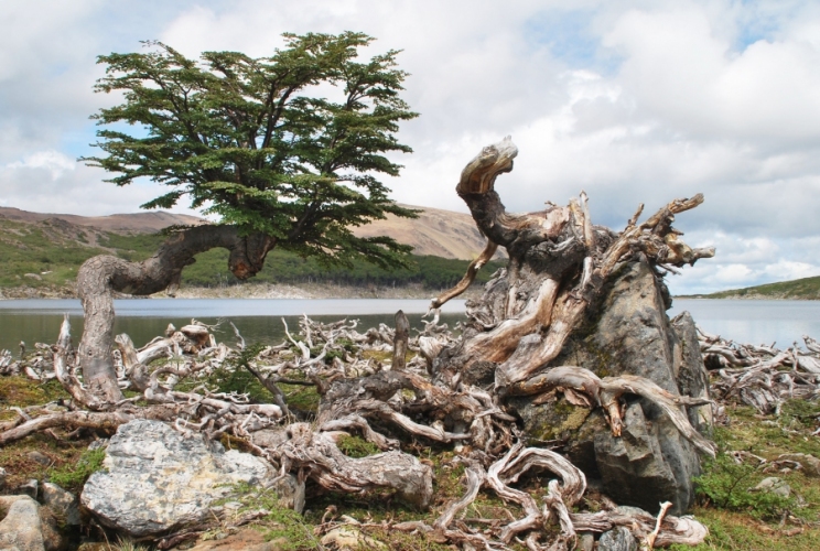 NEWS 139 invisible NEWS 139 invisible