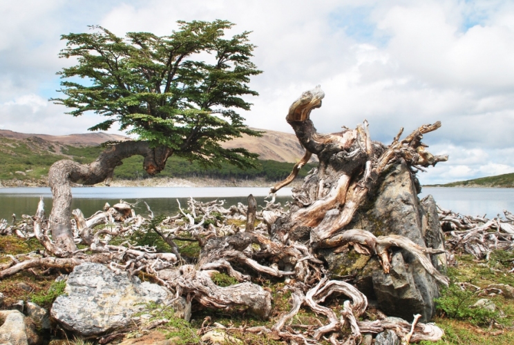 News 108 8/10/16 News 108 8/10/16