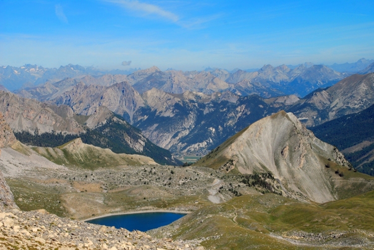 NEWS 115 (17/11/16) invisible NEWS 115 (17/11/16) invisible