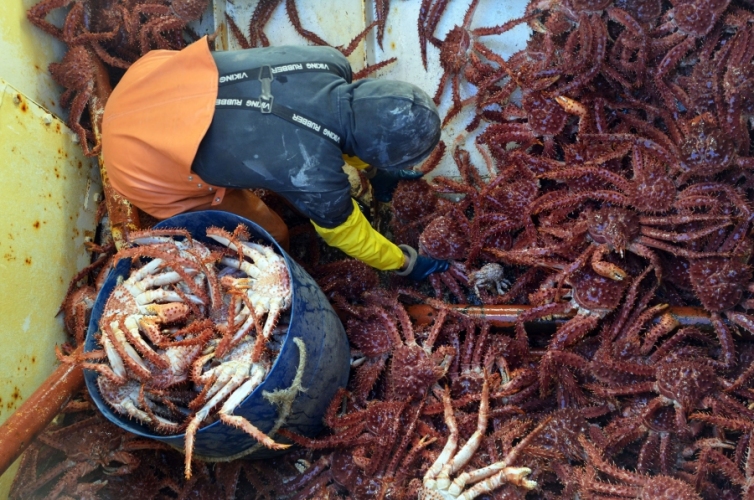 News 135 invisible News 135 invisible