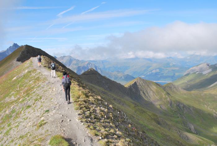 news 49  invisible news 49 invisible