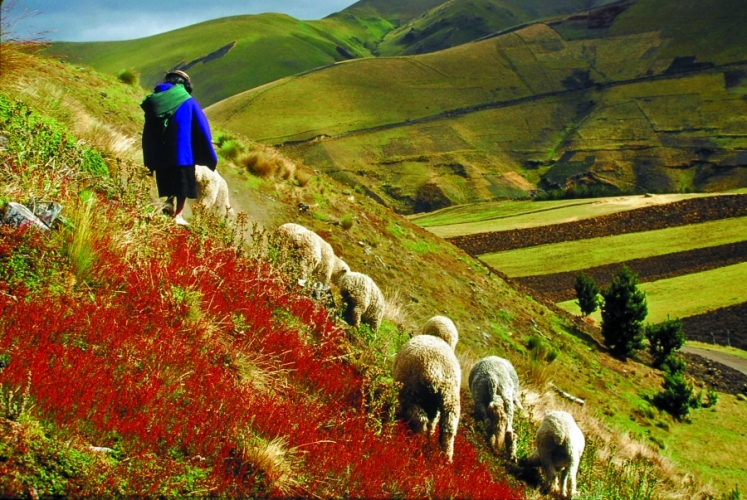 News 142 1/02/19 invisible News 142 1/02/19 invisible