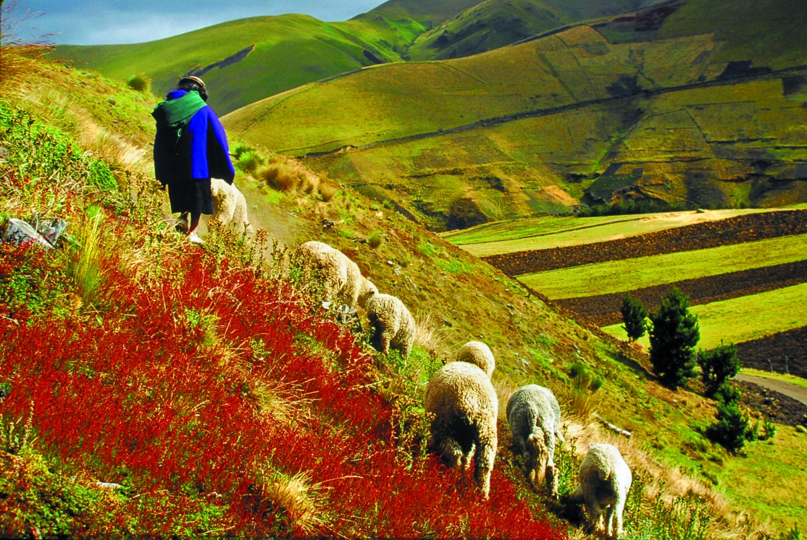 NEWS 173 15 01 25 NEWS 173 15 01 25