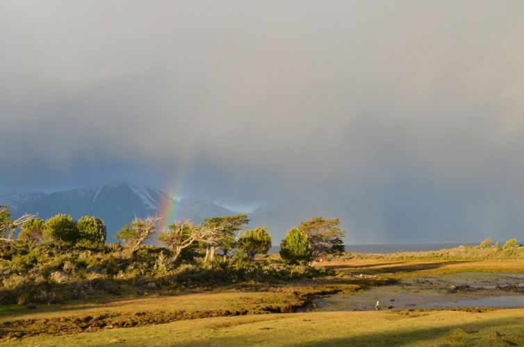 News 136 8/03/18 invisible News 136 8/03/18 invisible