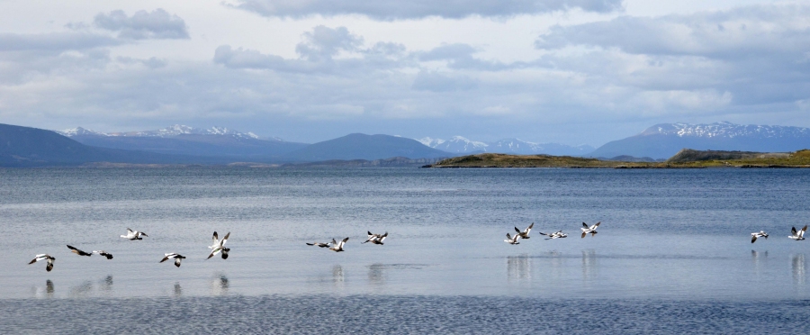 News 122  (18/05/17) invisible News 122 (18/05/17) invisible