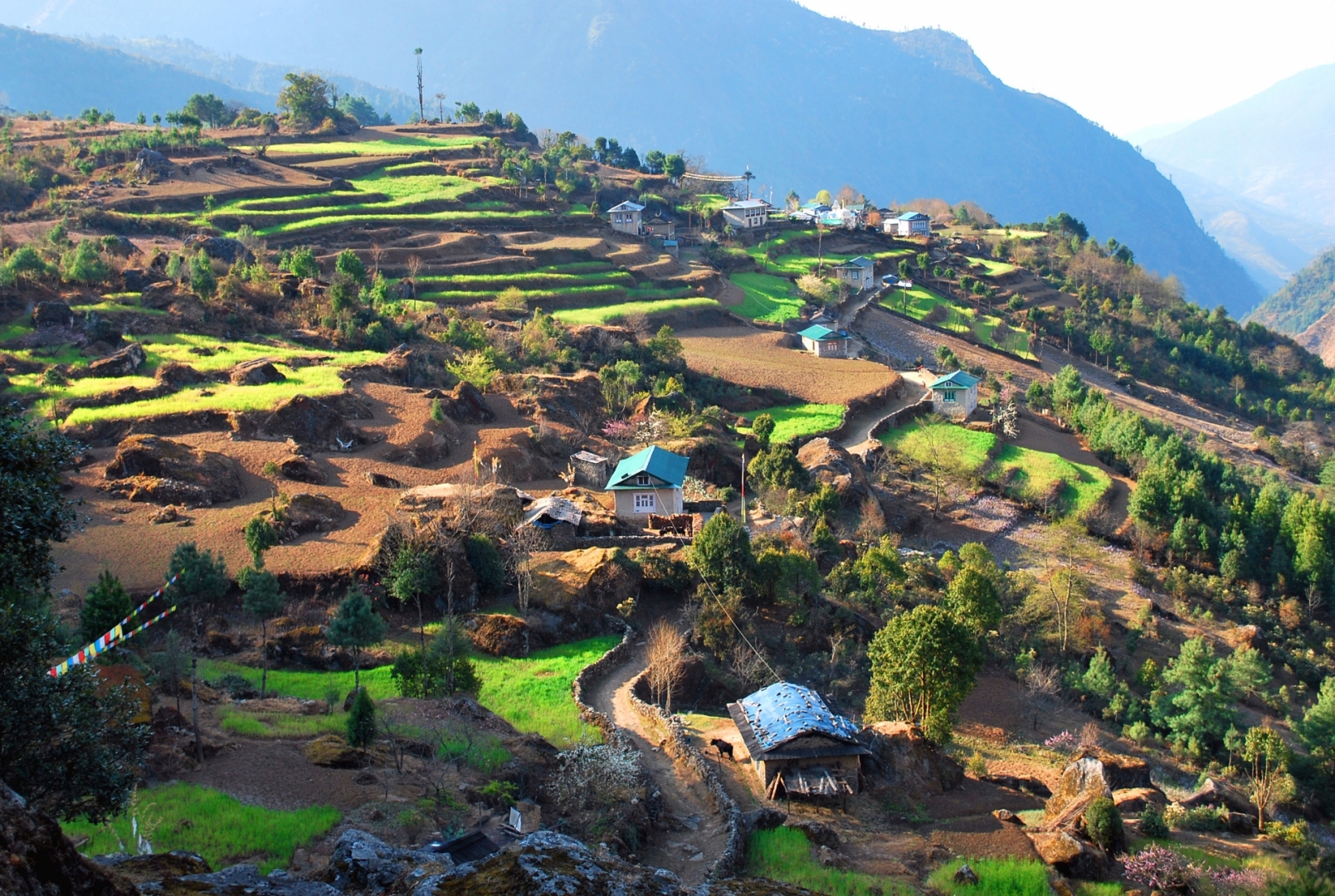 News 172  11 10 22   News 172 11 10 22 