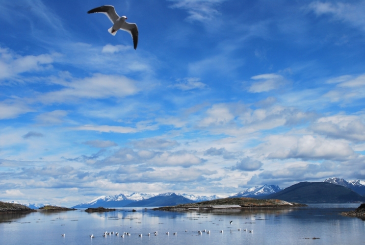 News 104  21/04/16 invisible News 104 21/04/16 invisible