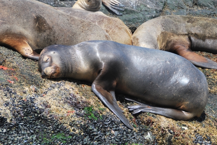 News 98 7/07/15 invisible News 98 7/07/15 invisible