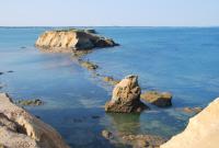  news 46 24_06_11 invisible