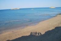 Vive nous  news 46 24_06_11 invisible