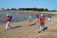  news 46 24_06_11 invisible