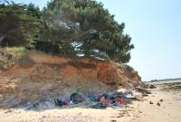  news 46 24_06_11 invisible