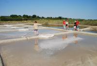  news 46 24_06_11 invisible