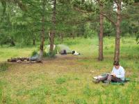 Cecile news 35 France